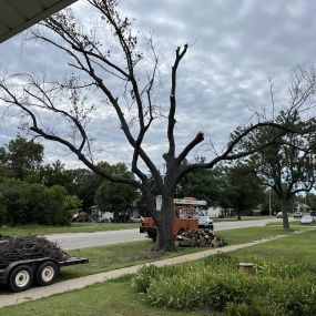 Bild von Gregory Tree Service