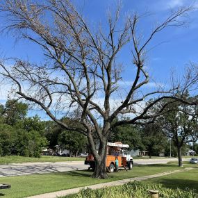 Bild von Gregory Tree Service