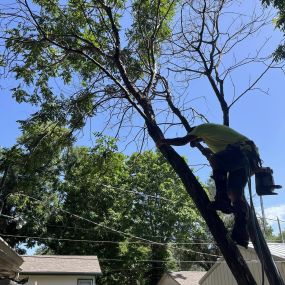 Bild von Gregory Tree Service