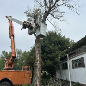 Bild von Gregory Tree Service