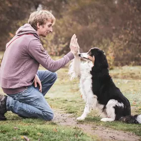 Bild von Hundeschule Helges Hundehütte