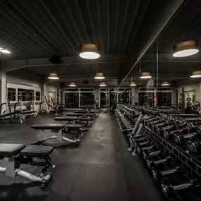 Fitness First Wangen - Freeweight Area