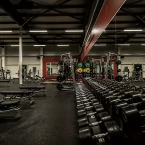 Fitness First Rottenburg - Freeweight Area