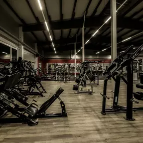 Fitness First Rottenburg - Plate-loaded Area
