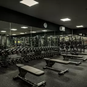 Fitness First Bad Rappenau - Freeweight Area