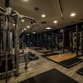 Fitness First Crailsheim - Performance Area