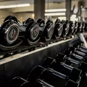 Fitness First Heidenheim Steinheimer Straße - Freeweight Area