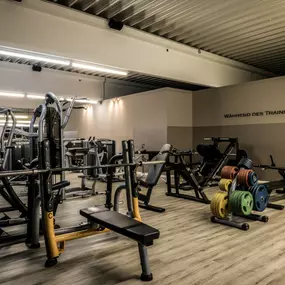 Fitness First Heidenheim Steinheimer Straße - Plate Loaded Area