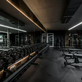 Fitness First Kornwestheim - Freeweight Area