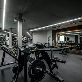 Fitness First Kornwestheim - Plate-loaded Area