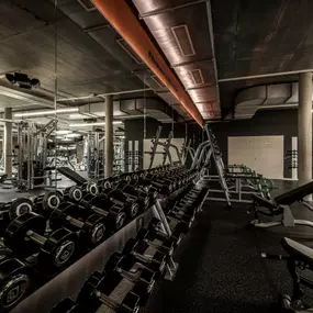 Fitness First Laupheim - Freeweight Area