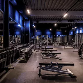 Fitness First Backnang - Freeweight Area