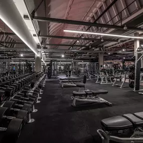 Fitness First Fellbach - Freeweight Area