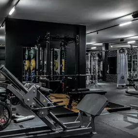 Fitness First Stuttgart - Zuffenhausen - Plate-loaded Area