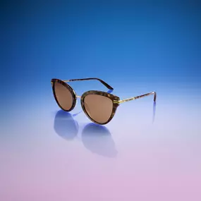 Bild von Sunglass Hut