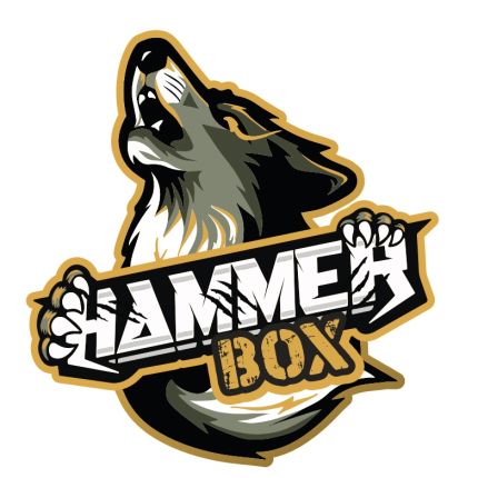 Logo von Crossfit Hammerbox