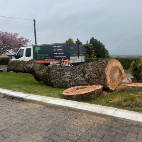 Bild von Johnson Tree Services