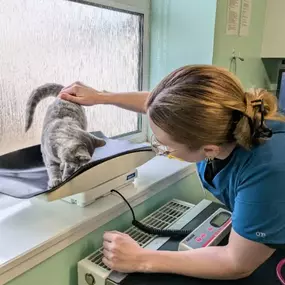 Bild von Exclusively Cats Veterinary Centre