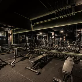 Fitness First Hamburg Stadthöfe - Freihantelbereich