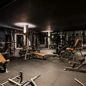 Fitness First Hamburg Winterhude - Plate-loaded Machines