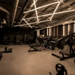 Fitness First Berlin - Steglitz SSC - Plate-loaded Machines