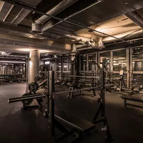 Fitness First Berlin - Steglitz SSC - Krafttraining