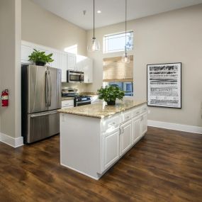 Kitchen and Living Area