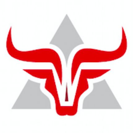 Logo van Bull Research Consulting