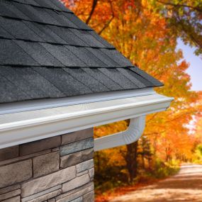 Bild von LeafFilter Gutter Protection