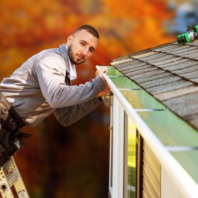 Bild von LeafFilter Gutter Protection