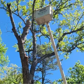 Image of tree trimming services in Cornelia, GA