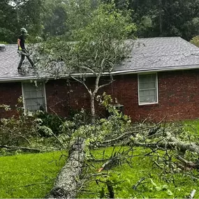 Image of emergency tree services in Cornelia, GA