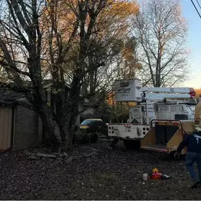 Image of forestry mulching services in Cornelia, GA