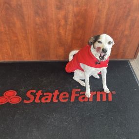 Dan Tice - State Farm Insurance Agent