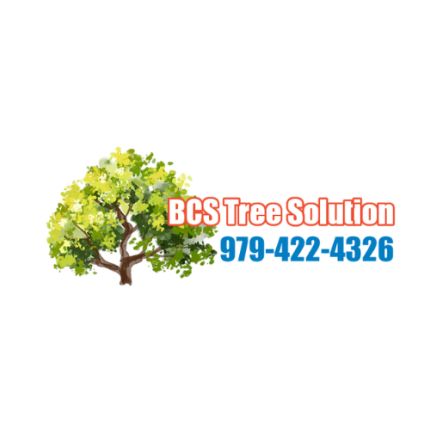 Logotyp från BCS Tree Solution