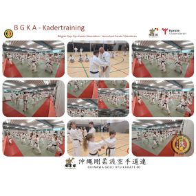 Bild von Karate Academy Tongeren-Borgloon