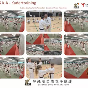 Bild von Karate Academy Tongeren-Borgloon