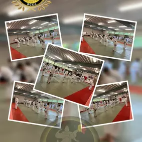 Bild von Karate Academy Tongeren-Borgloon