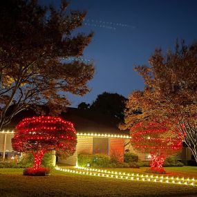 J Bell Services offers expert sprinkler repair in Fort Worth, ensuring your lawn thrives all year long. Keep your landscape lush and vibrant!