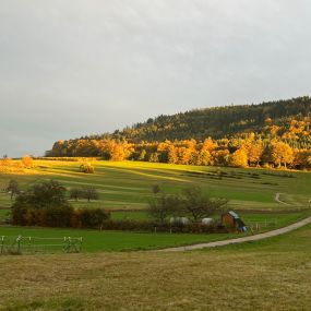 Bild von Ferienwohnungen Brack in Gaggenau