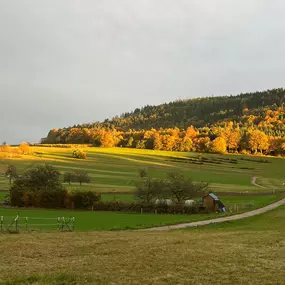 Bild von Ferienwohnungen Brack