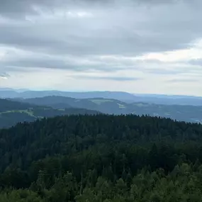 Bild von Ferienwohnungen Brack in Gaggenau