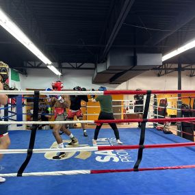 Bild von Cus Boxing Gym