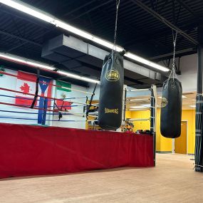 Bild von Cus Boxing Gym