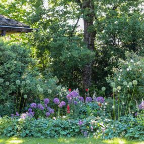 Pflanzungen
Die Bepflanzung Ihres Gartens gehört zu den abschließenden Arbeiten der Gartengestaltung. Doch bei der Planung des Gartens genießt sie Vorrang. Denn erst optimal zusammengestellte Pflanzen sorgen für ein stimmiges Gesamtbild und die richtige Atmosphäre. In unserer eigenen Staudengärtnerei können wir dabei aus dem Vollen schöpfen – bei Auswahl und Qualität. Denn Pflanzungen sind das Herzstück jedes Gartens und hauchen ihm Leben ein. Wir beraten Sie gerne.