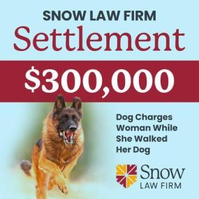 Bild von Snow Law Firm