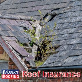 Bild von Modern Roofing