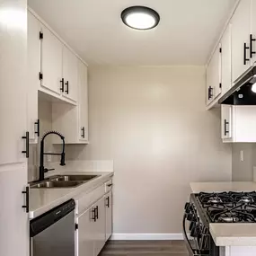 Apartment Kitchen