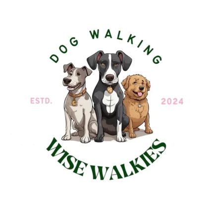 Logo de Wise Walkies