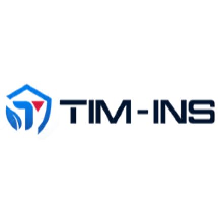 Logo da Tim Ins